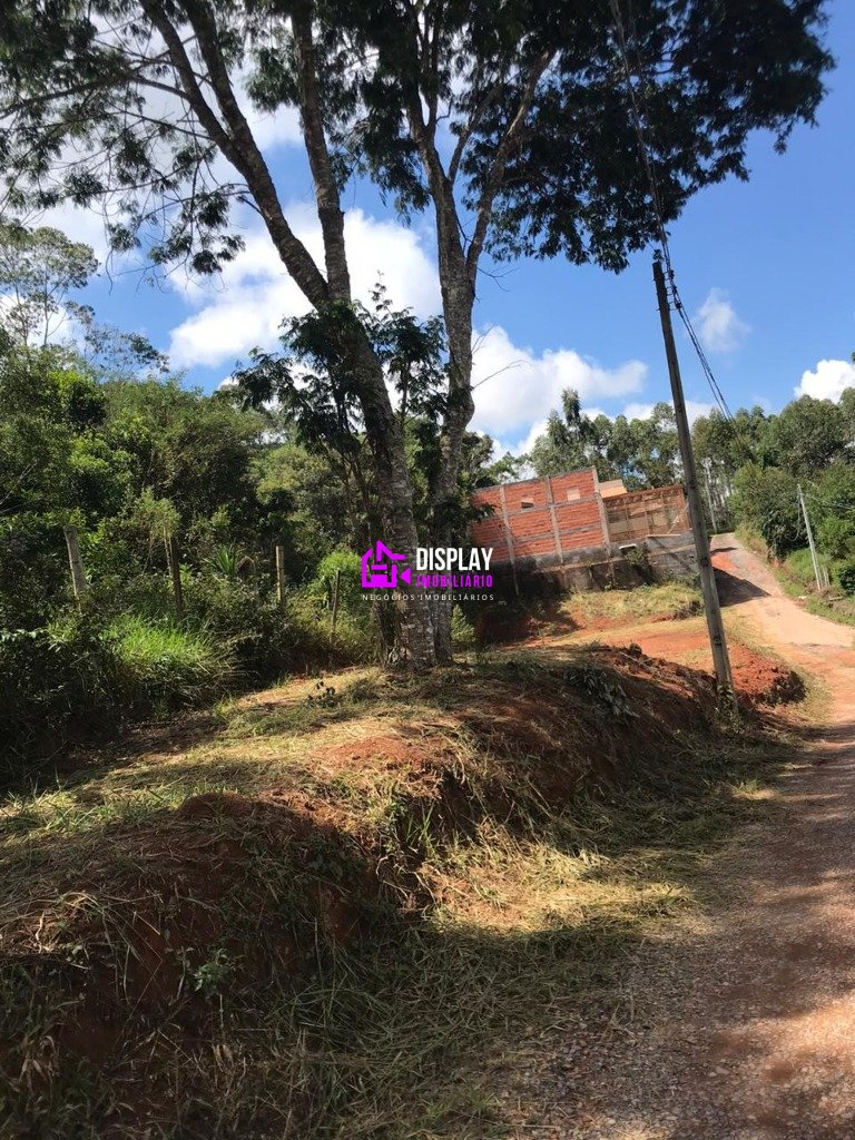 Imagem da propriedade 2017 3